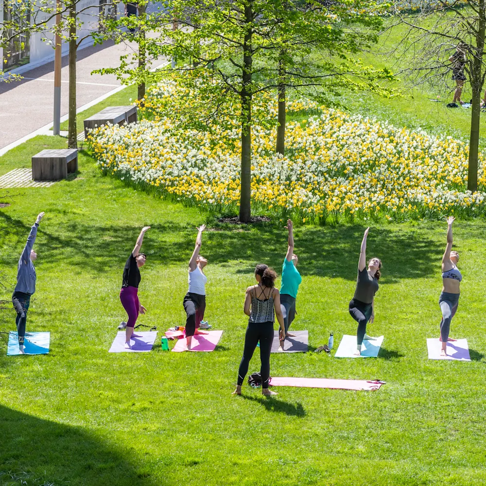 A yoga class on the grass in Claremont Park