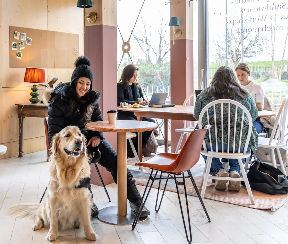 Arthur's Coffee House, a new dog-friendly café